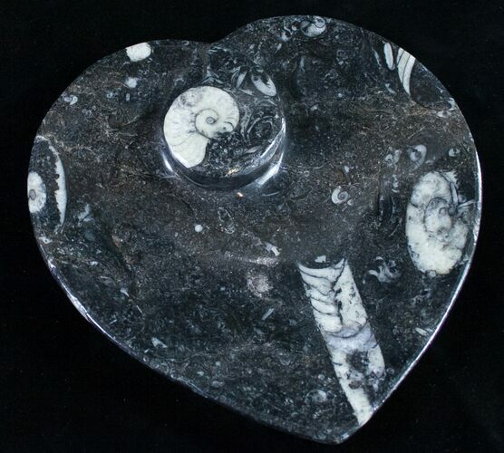 Heart Shaped Fossil Goniatite Dish #9001